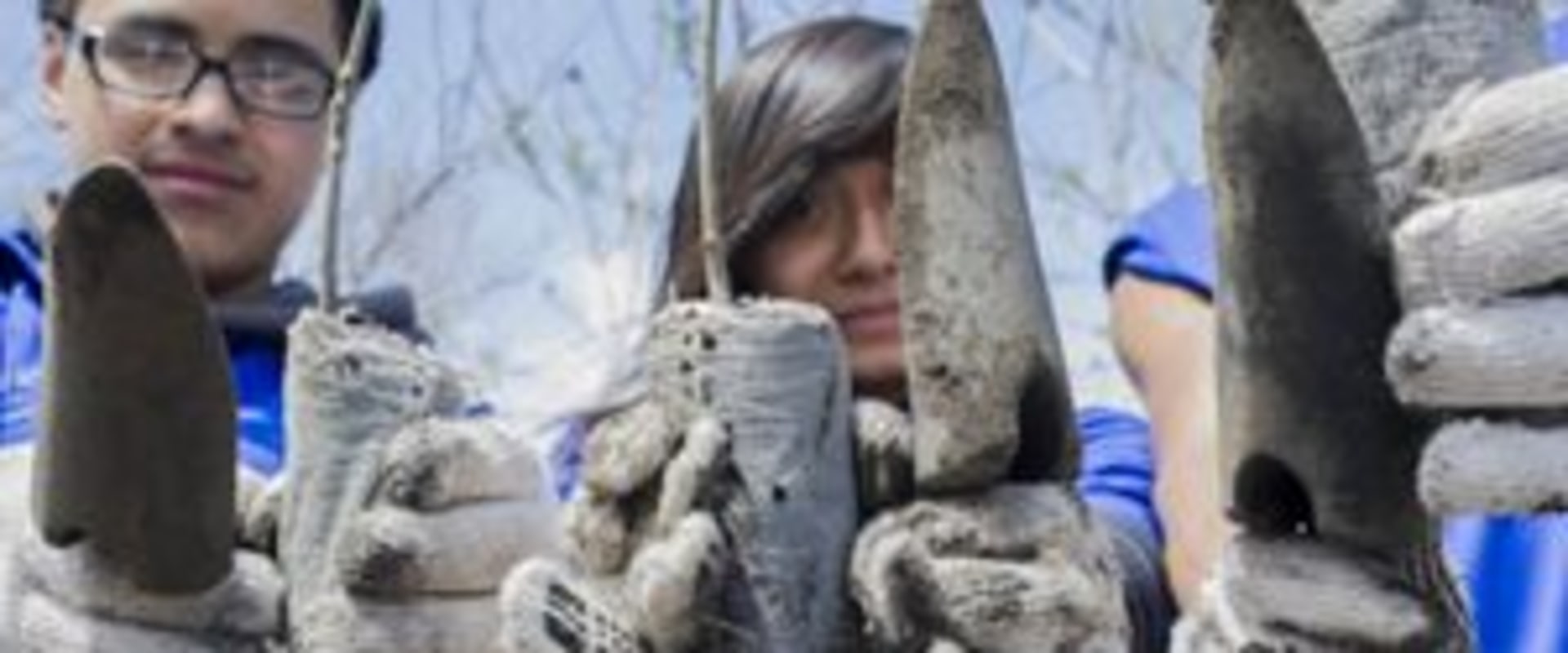 Exploring the World of Animal Community Service in New York City