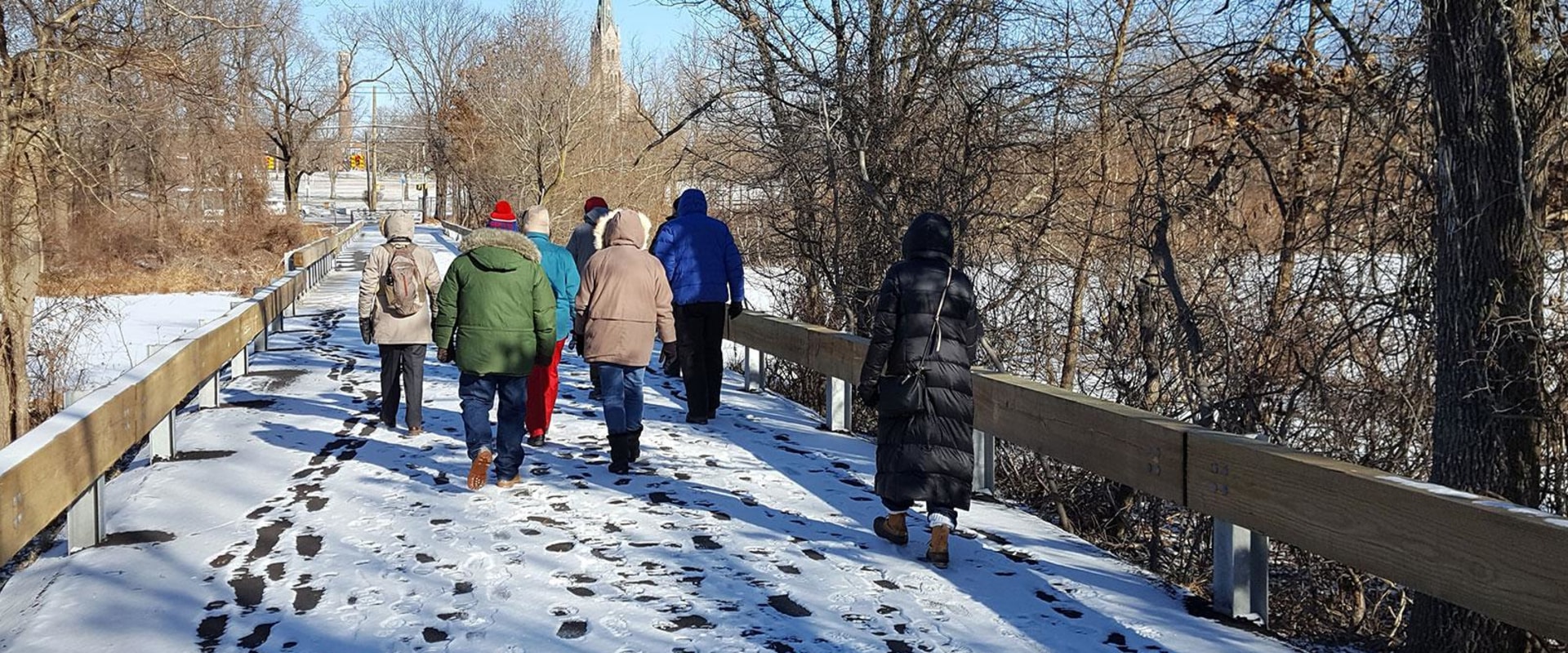 The Impact of Community Service Programs on Environmental Conservation in New York