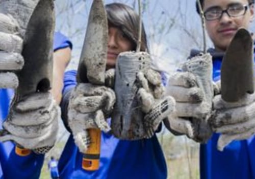 Exploring the World of Animal Community Service in New York City
