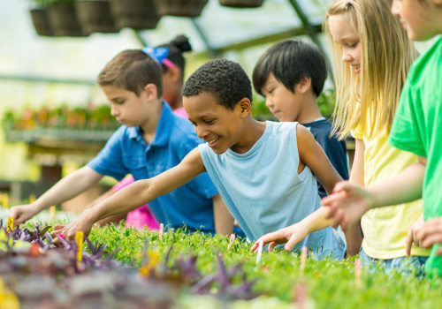 5 Expert Tips for Promoting Community Services in New York City
